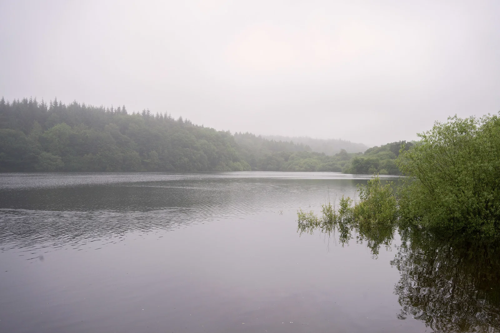 Still forest lake reflecting misty pine-clad hills under a soft grey sky on a calm summer morning