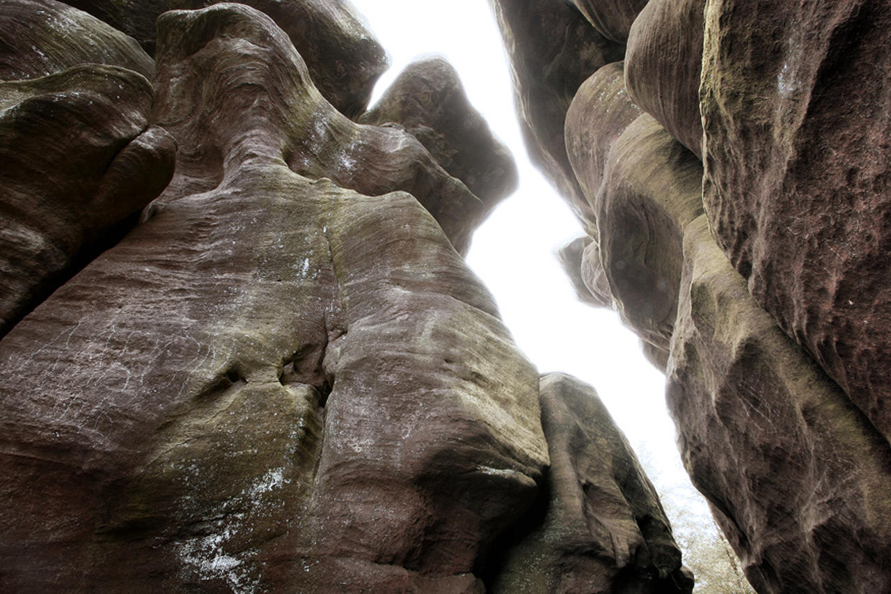 Brimham rocks