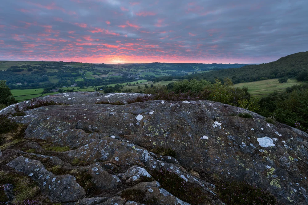 Lichen-covered moorland outcrop above a green valley at sunrise with a pink and grey cloudy sky