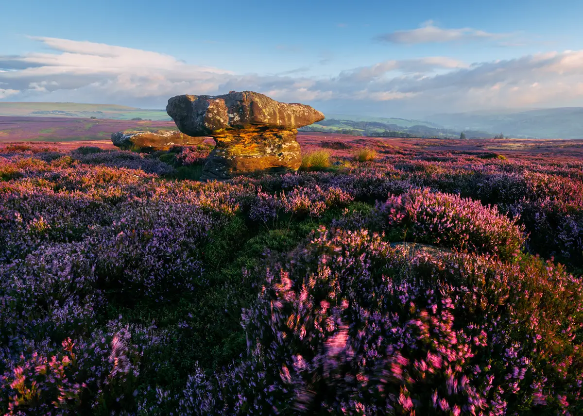 Heather-covered moorland bathed in warm evening light, with large, weathered rock formations in the foreground. The landscape stretches into the distance, meeting a horizon of rolling hills under a partly cloudy, blue sky.