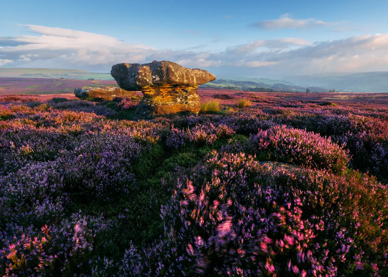 Heather-covered moorland bathed in warm evening light, with large, weathered rock formations in the foreground. The landscape stretches into the distance, meeting a horizon of rolling hills under a partly cloudy, blue sky.