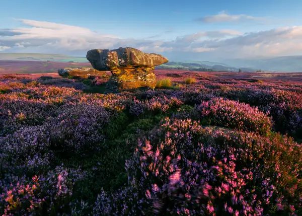 Heather-covered moorland bathed in warm evening light, with large, weathered rock formations in the foreground. The landscape stretches into the distance, meeting a horizon of rolling hills under a partly cloudy, blue sky.