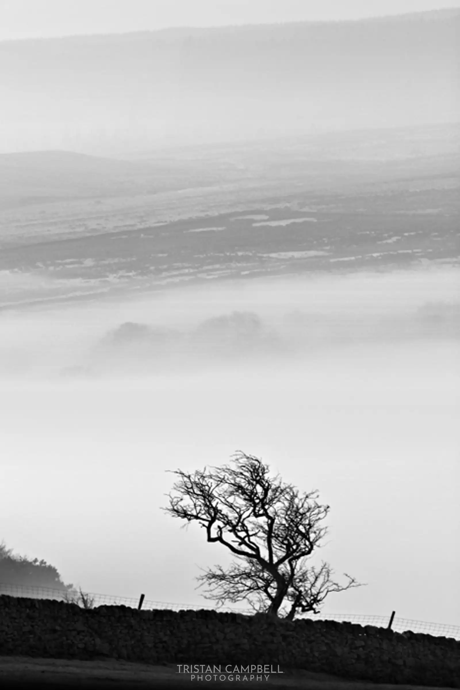 Morning mist