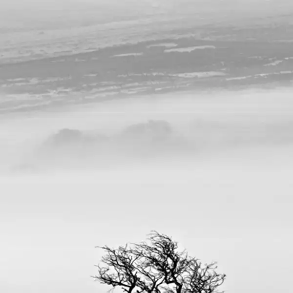 Morning mist