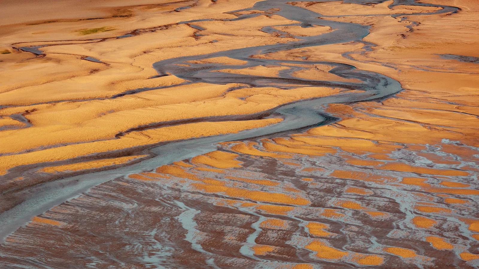 Aerial view of sinuous tidal channels and golden salt marshes meeting dark water under bright daylight.