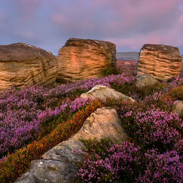 Moorland Light