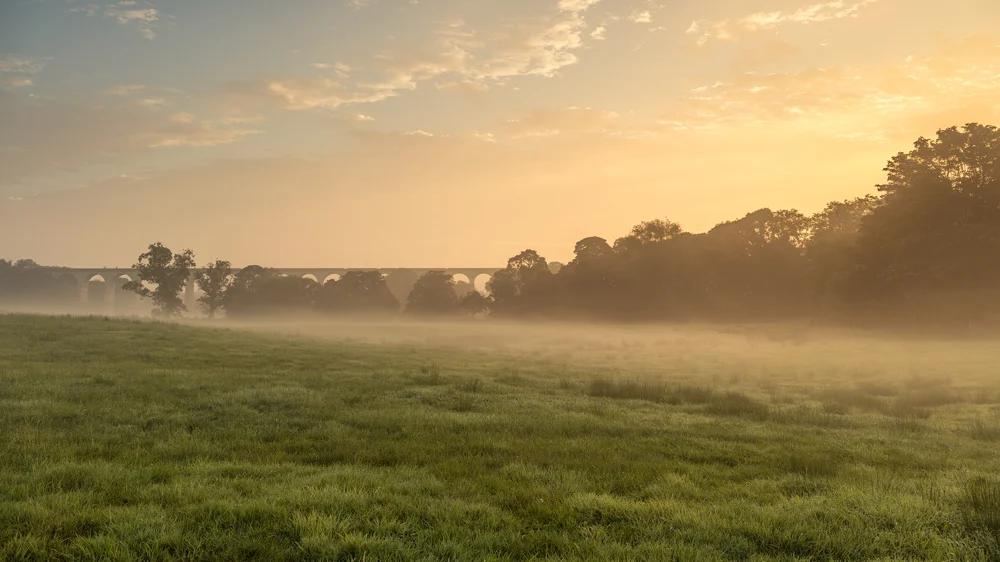 Stone railway viaduct beyond a misty meadow at golden sunrise, with silhouetted trees on the horizon.