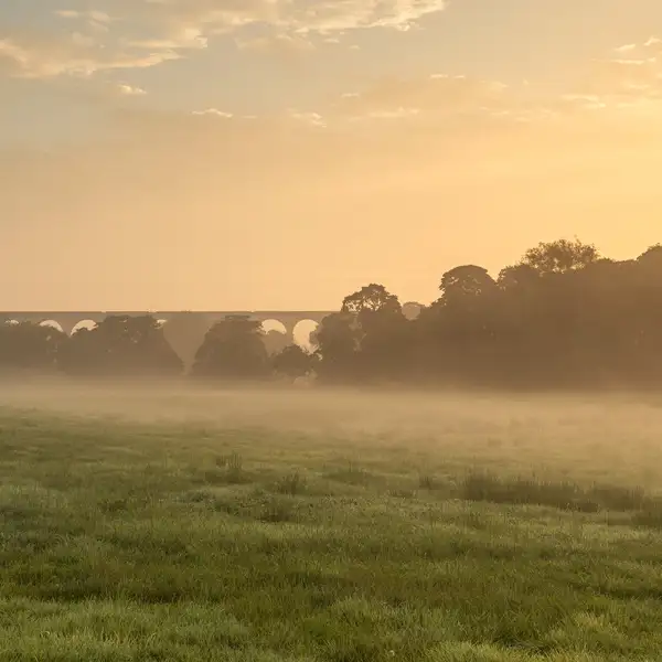 Crimple Valley Misty Summer Morning
