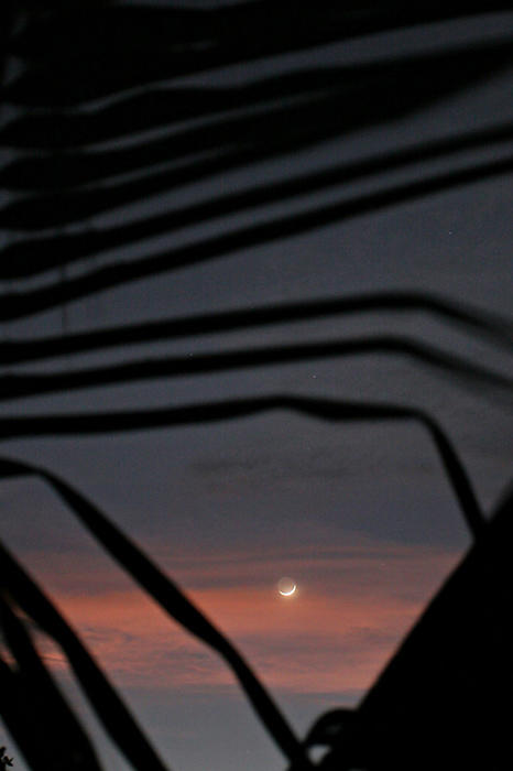 Cresent moon