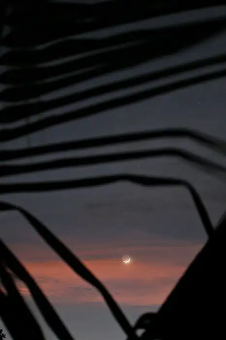 Cresent moon