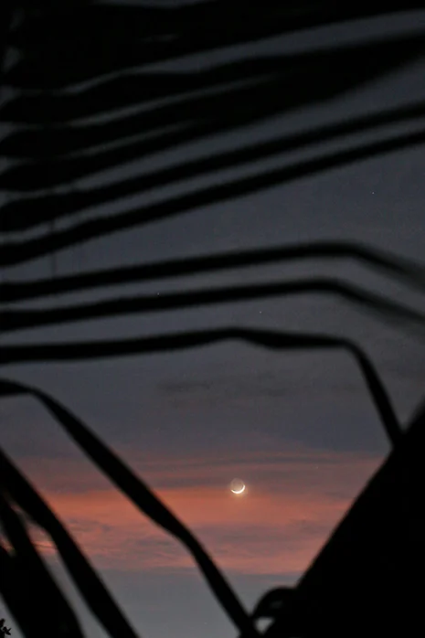 Cresent moon