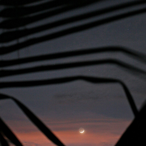 Cresent moon: Cresent moon