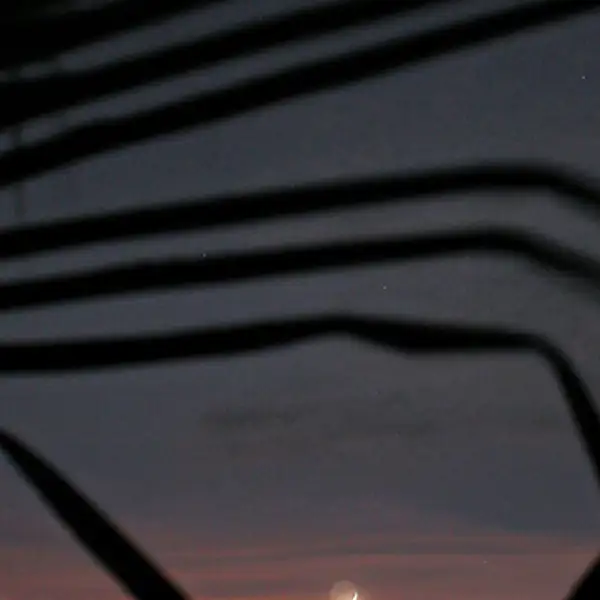 Cresent moon