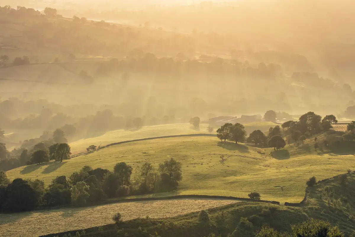 Rolling green hills bathed in soft, golden light with scattered trees casting long shadows. A fine mist blankets the valley, creating a serene and tranquil atmosphere, while sunlight filters through the mist, illuminating the landscape. Distant fields and hedgerows are visible, adding depth to the scene.