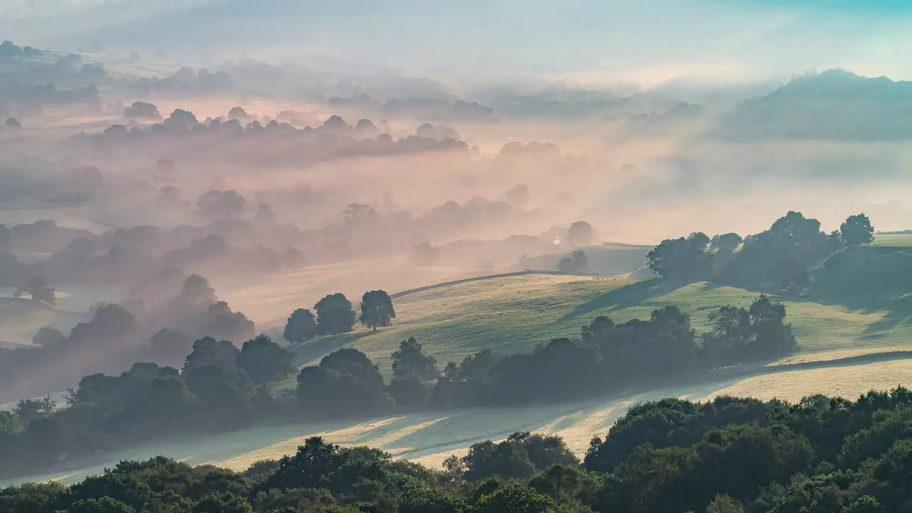 Rolling hills draped in soft, early morning mist. The landscape is dotted with clusters of dark green trees, while gentle sunlight casts long shadows across the fields. The fog creates a serene and atmospheric scene, with layers of mist providing a sense of depth and tranquillity.
