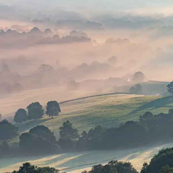 Autumn Mists