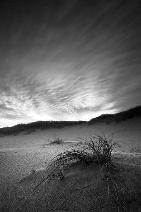 Untitled Dunescape 2
