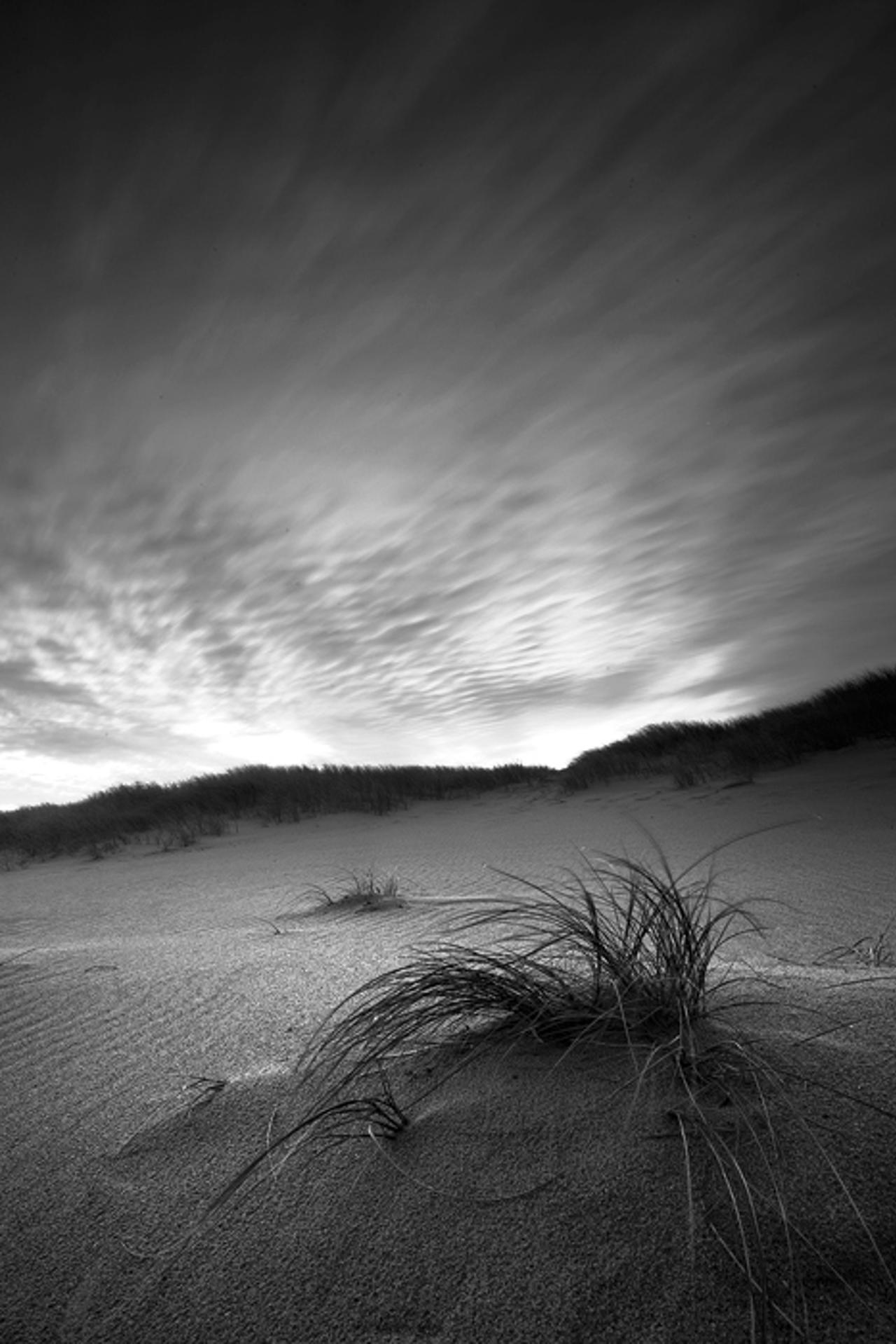 Untitled Dunescape 2