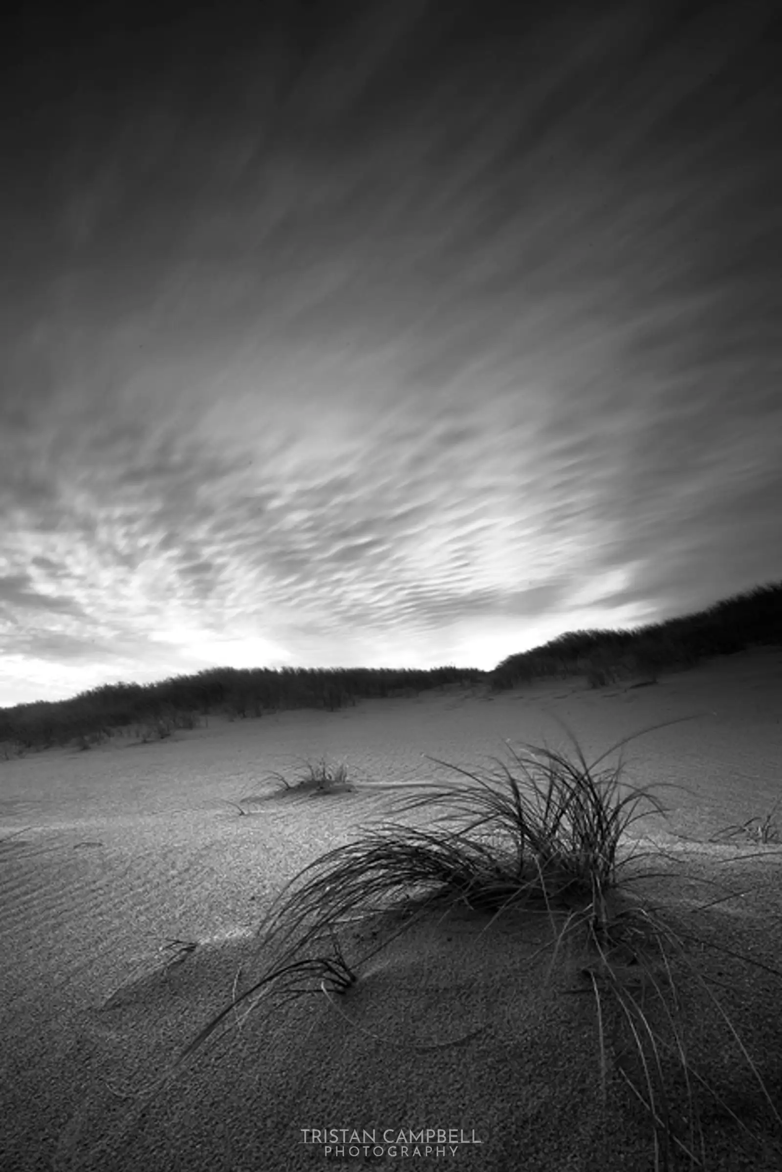 Untitled Dunescape 2