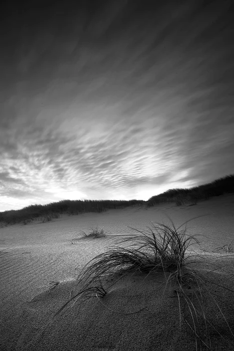 Untitled Dunescape 2