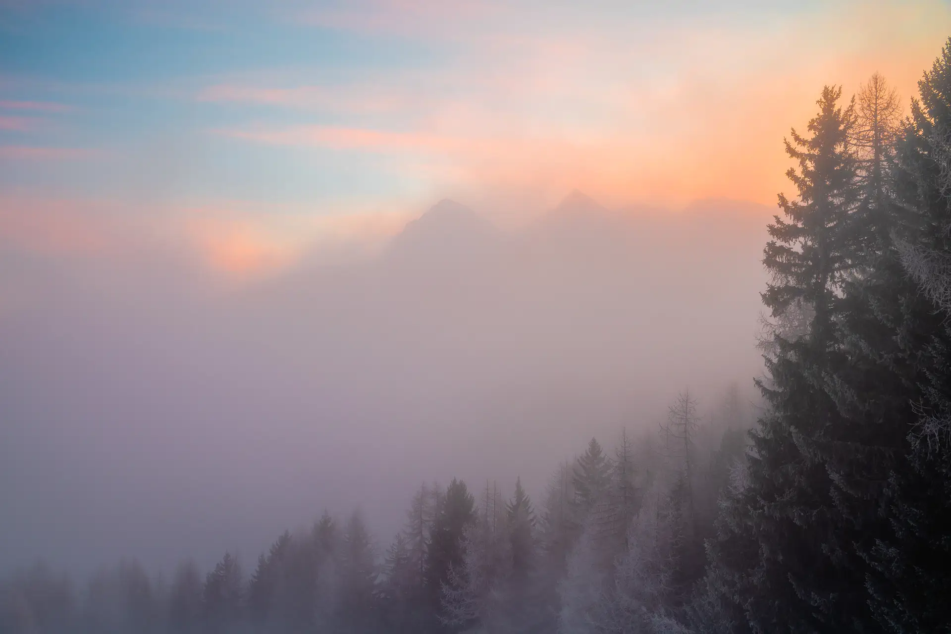 Mountain peaks partially obscured by mist with a pastel-coloured sky at sunrise or sunset, creating a soft gradient from blue to pink and orange. Foreground features silhouetted tall trees covered in frost, adding a wintery touch.