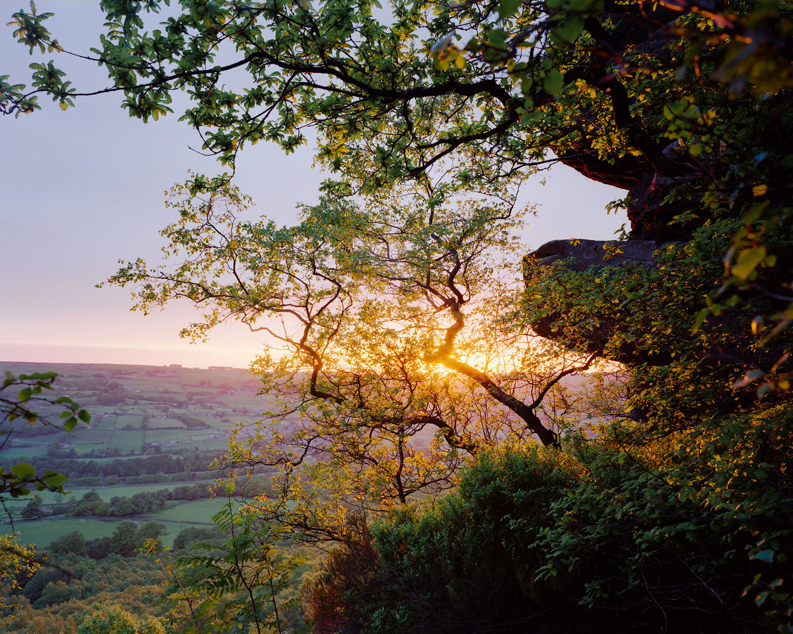 Sunset view through leafy trees over a vast, rolling countryside. The sunlight filters through branches, casting a warm glow. The landscape below features patchwork fields and distant hills under a soft, colourful sky.