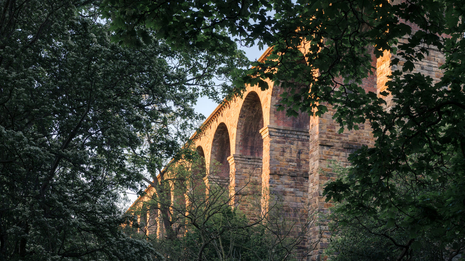 View to Crimple Viaduct through trees