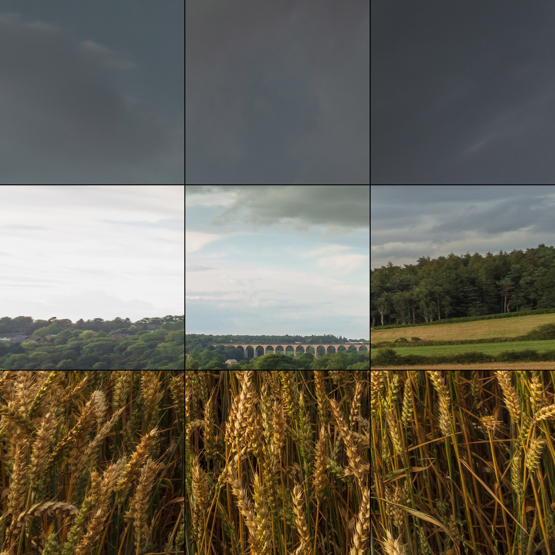 Canon 11-24mm L lens corner sharpness