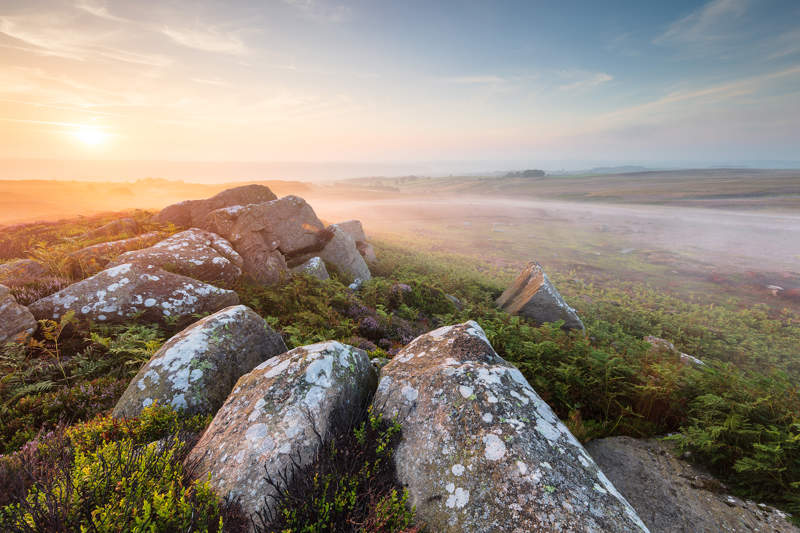 An intense sunrise bathes North Yorkshire moorland in soft light. A mist gently blankets the moorland as the warm glow of the morning sun permeates the serene landscape of moss-covered rocks and heather. a rocky landscape with a valley in the background