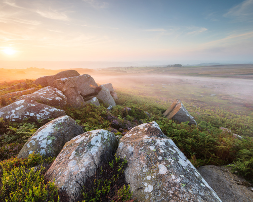 Moorland Landscapes: An intense sunrise bathes North Yorkshire moorland in soft light. A mist gently blankets the moorland as the warm glow of the morning sun permeates the serene landscape of moss-covered rocks and heather. a rocky landscape with a valley in the background