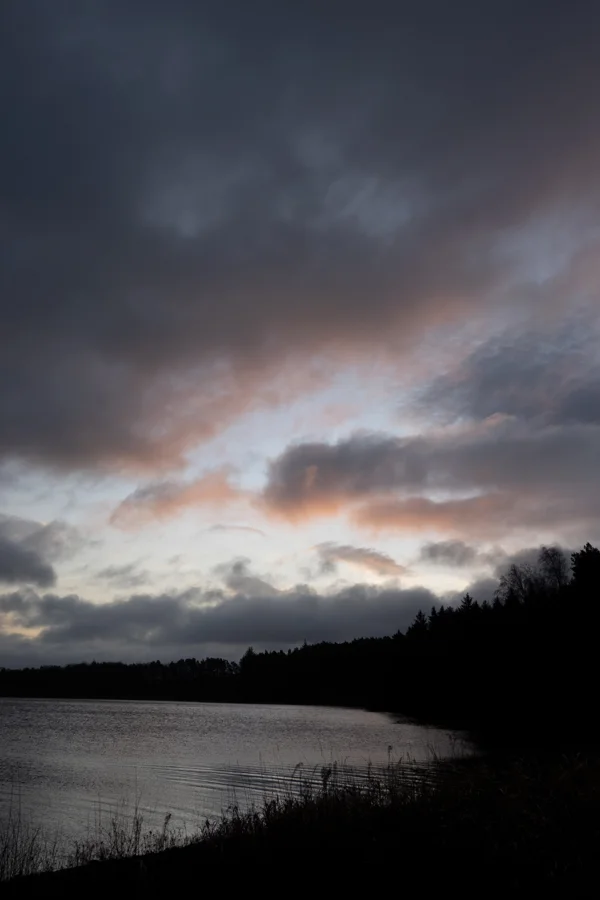 Still lake at dusk with pine-treed shoreline silhouetted beneath grey clouds streaked with soft pink light
