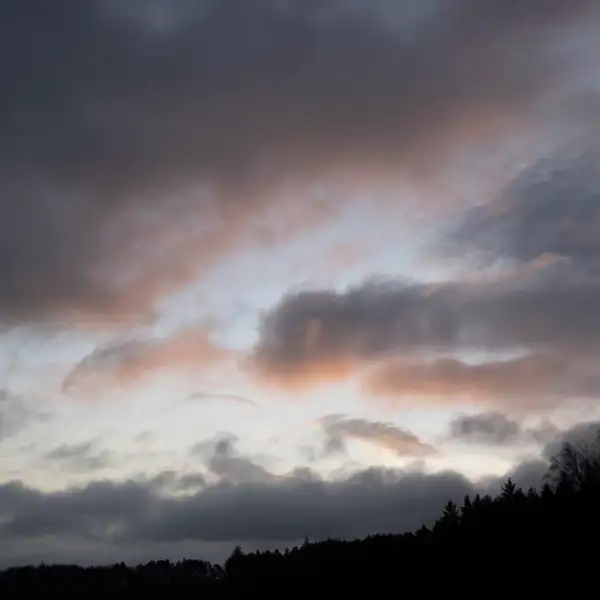 Murky morning brightens