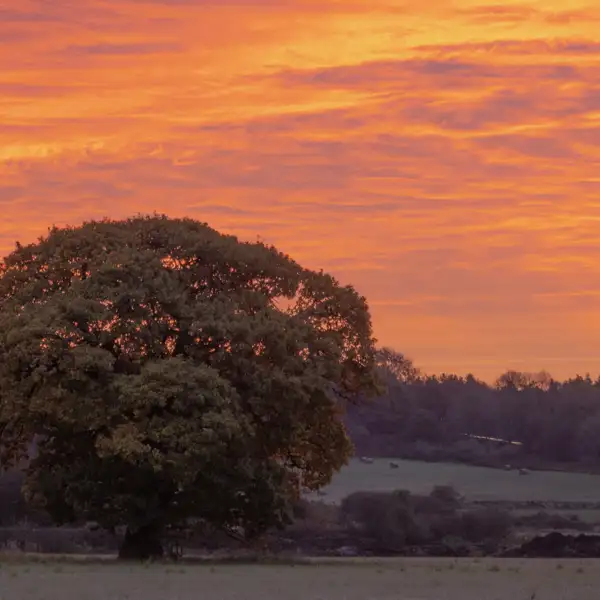 Vivid sunrise over PN18