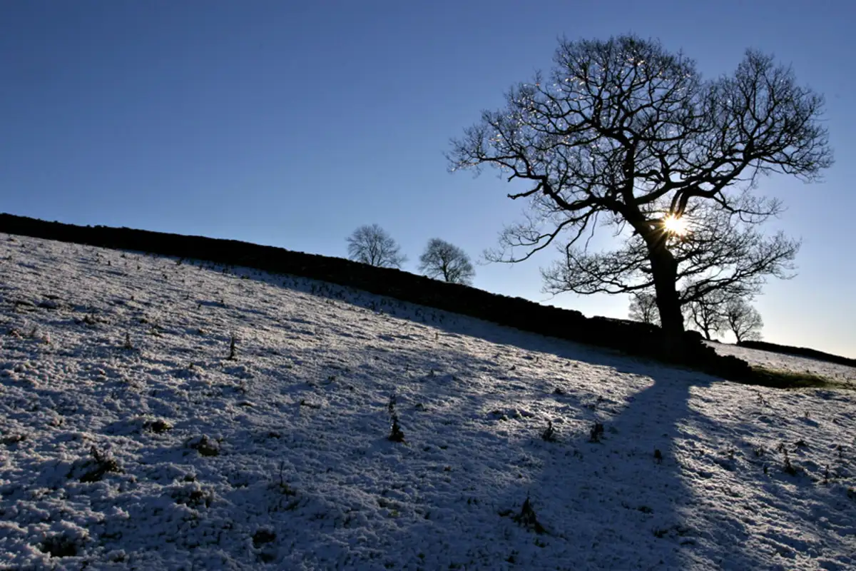 Snowy day at Thruscross