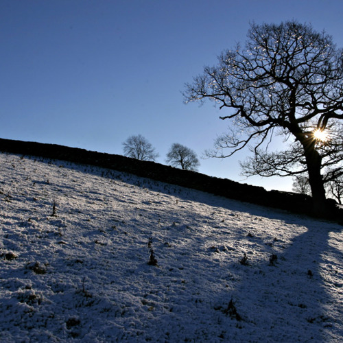 Snowy day at Thruscross: Snowy day at Thruscross