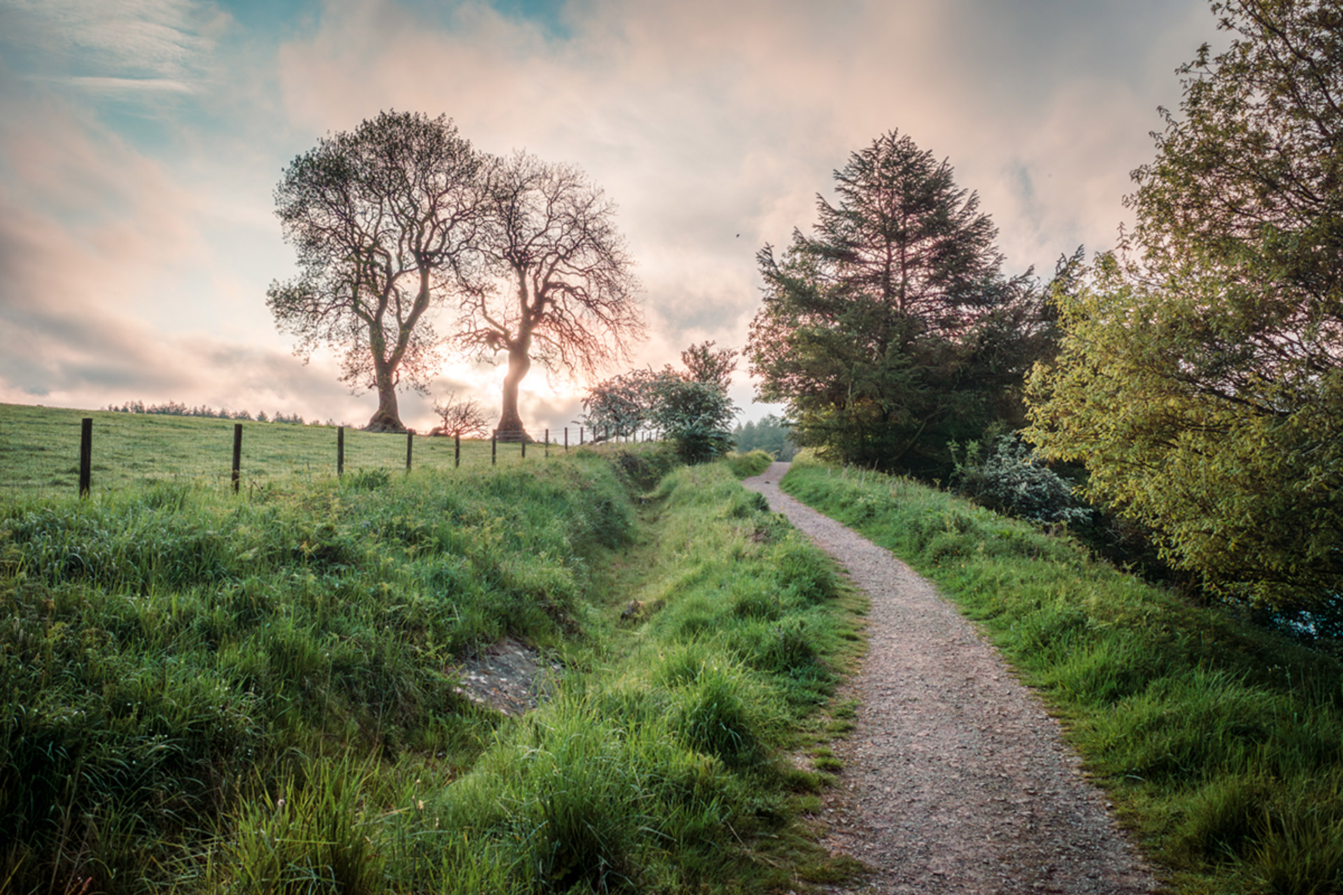 Ricoh GRIII HDF high dynamic range image, backlit and exposed for highlights