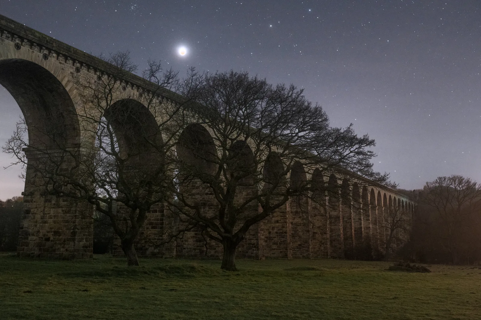 Ancient stone aqueduct with multiple arches beneath a full moon and starlit night sky, bare tree silhouetted against moonlight.