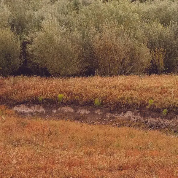 Late Summer Fewston
