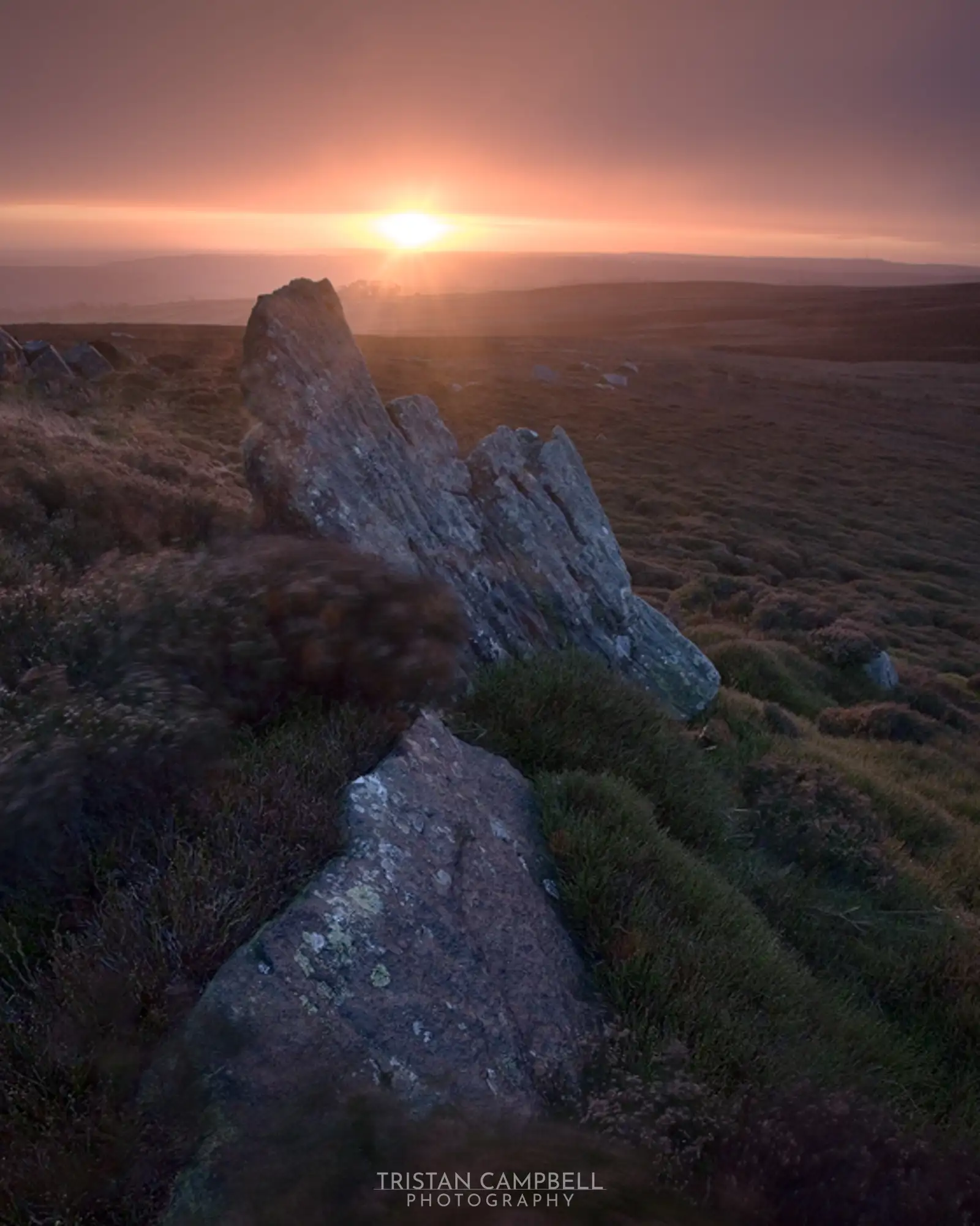 Hayshaw moor at dawn