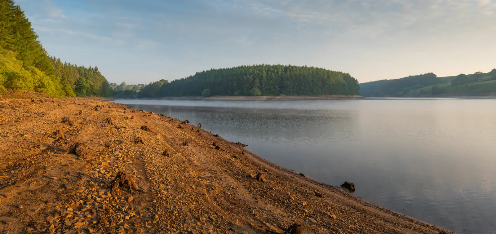Sandy shoreline of a lake with tree stumps scattered across the ground, leading to calm water. Dense green forest surrounds the lake, under a sky with light cloud cover. The scene is bathed in soft, warm sunlight.