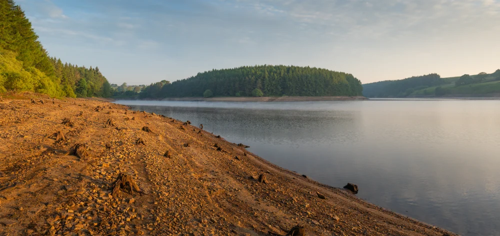Exposed pebbly shoreline of a forested reservoir at dawn, with mist on calm water under a soft summer sky