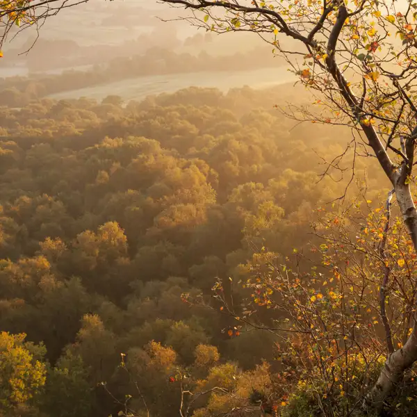 October Light