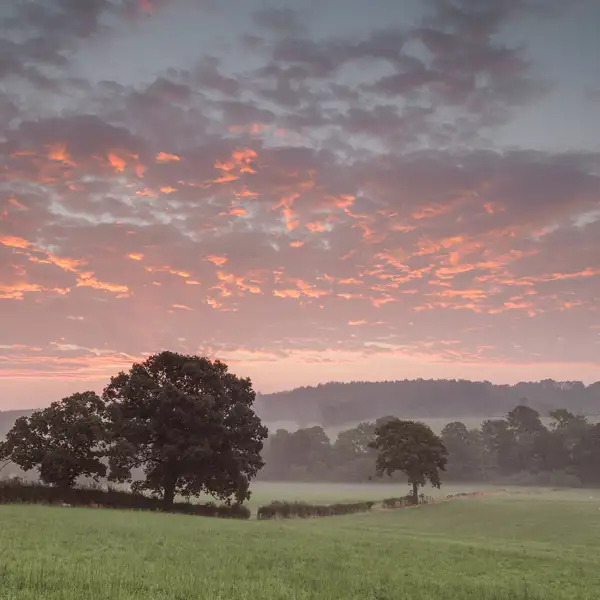 Crimple Valley Misty Summer Morning