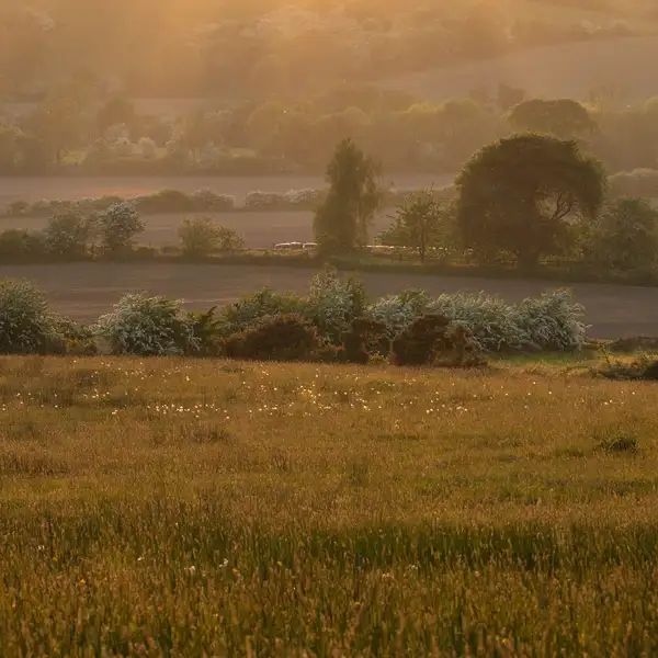 Crimple Valley in May