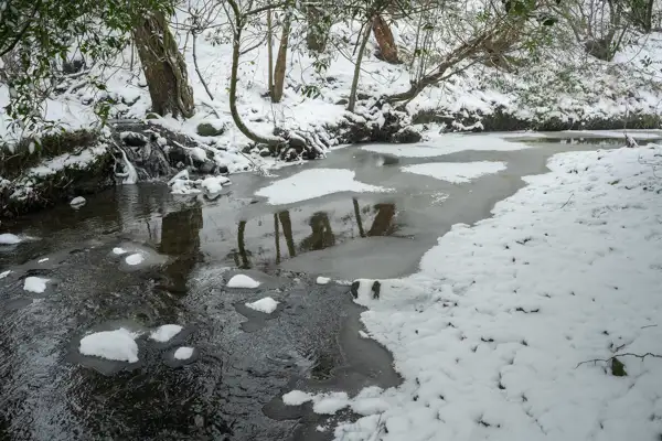 Snow-covered stream with patches of ice partially covering the water's surface. Trees with bare branches and some green leaves line the banks. Snow blankets the surrounding landscape, with tree reflections visible in the icy areas of the stream.