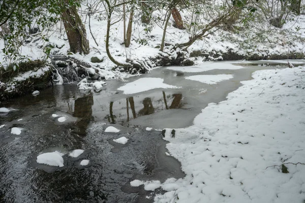 Partly frozen woodland stream with snow-covered banks and small waterfall under bare winter trees