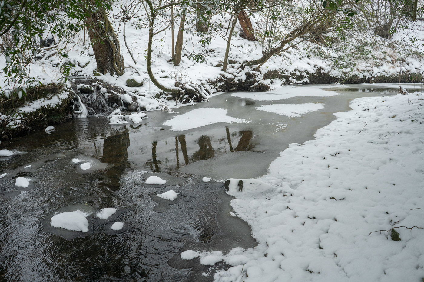  a beach covered in snow