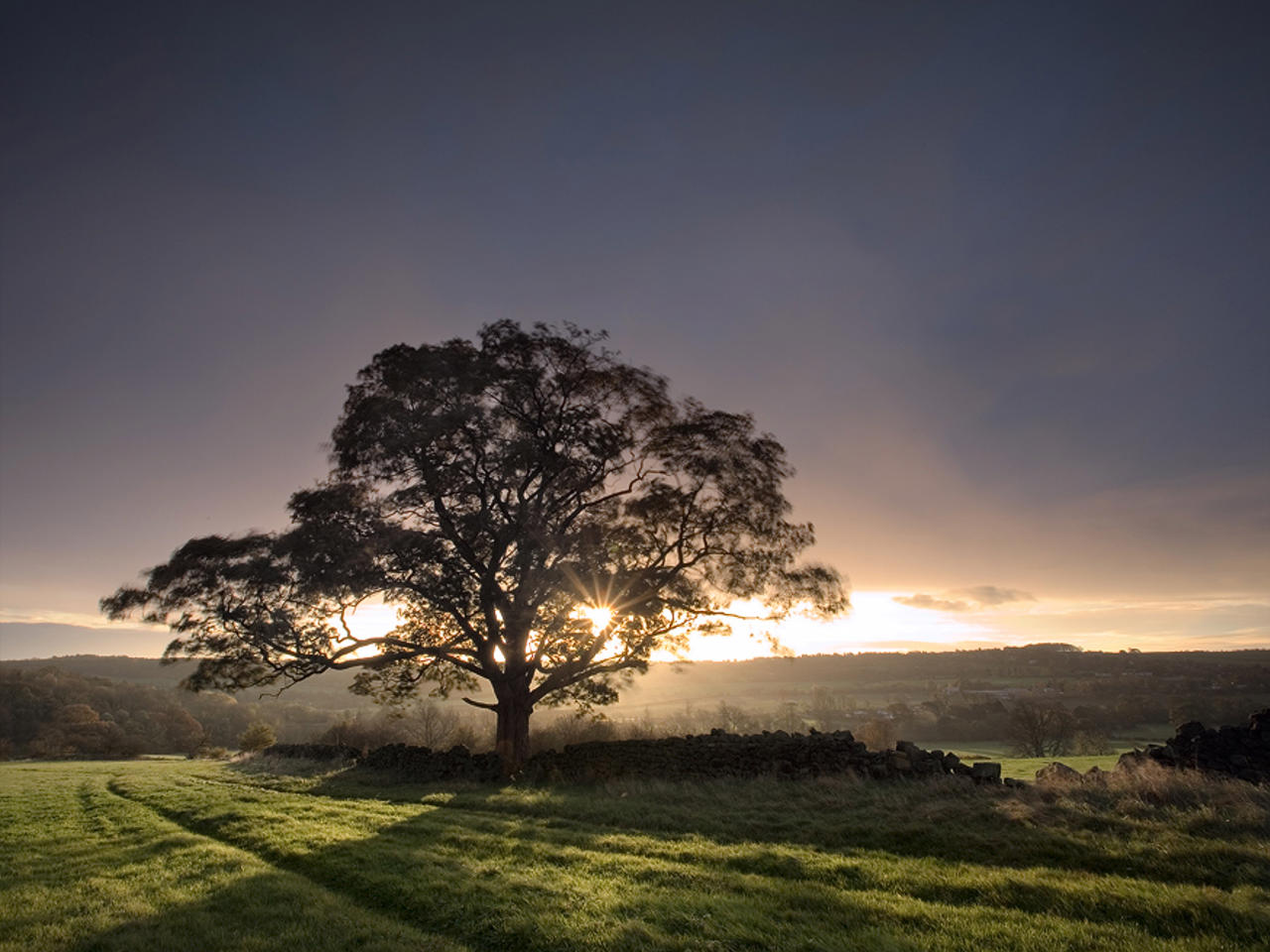 Stone Rings Beck, Harrogate
