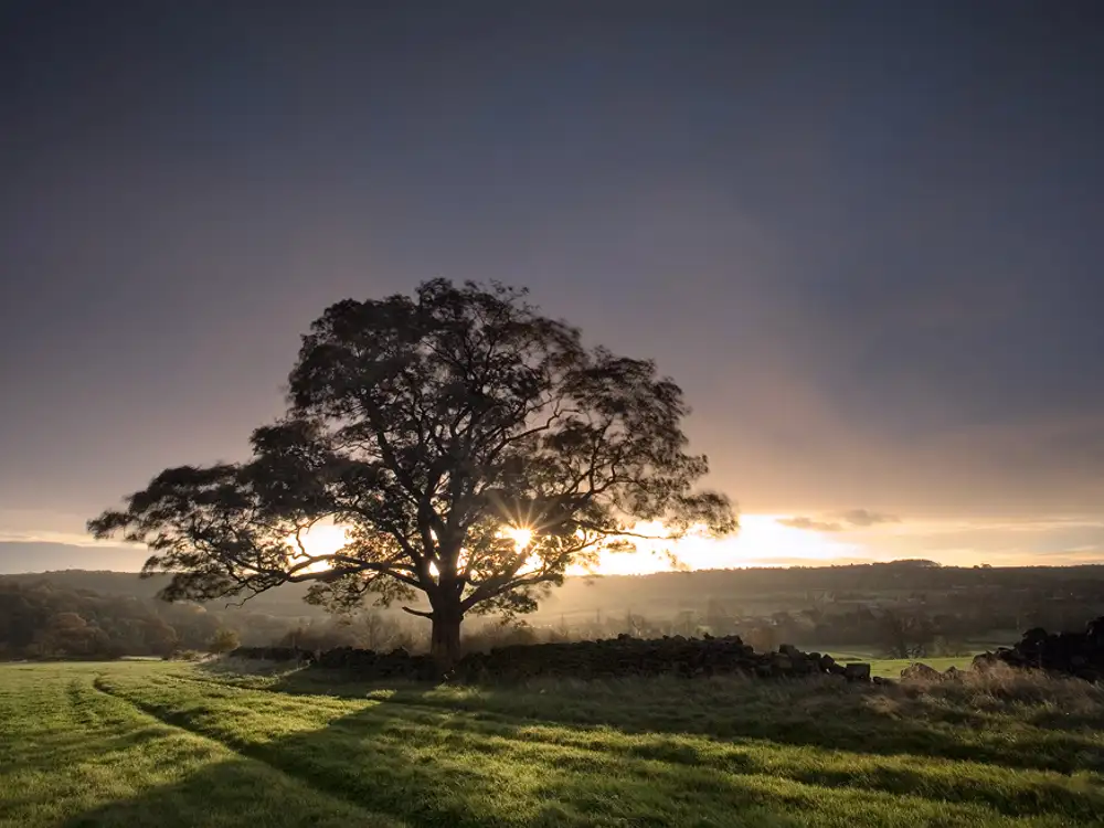 Stone Rings Beck, Harrogate