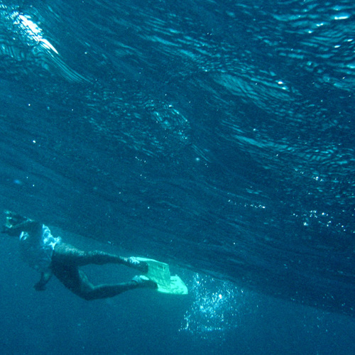 Snorkling: Snorkling